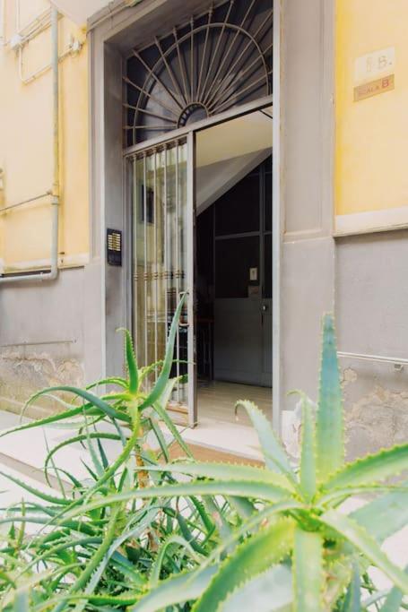Mann House Napoli Apartman Kültér fotó